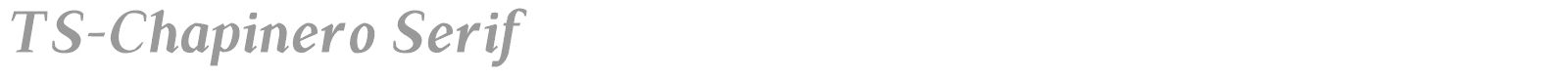 TS Chapinero Serif font preview